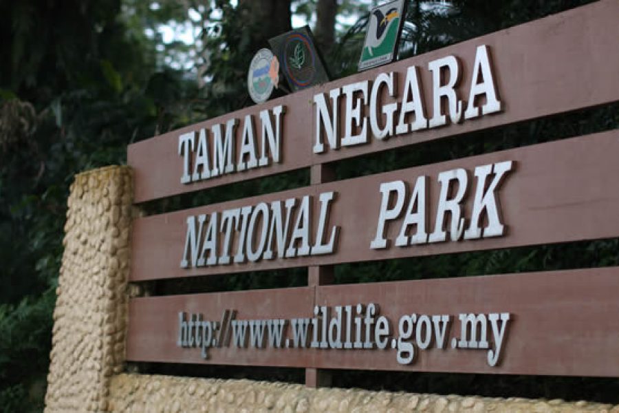3D2N Taman Negara Full Board Ex-Jerantut