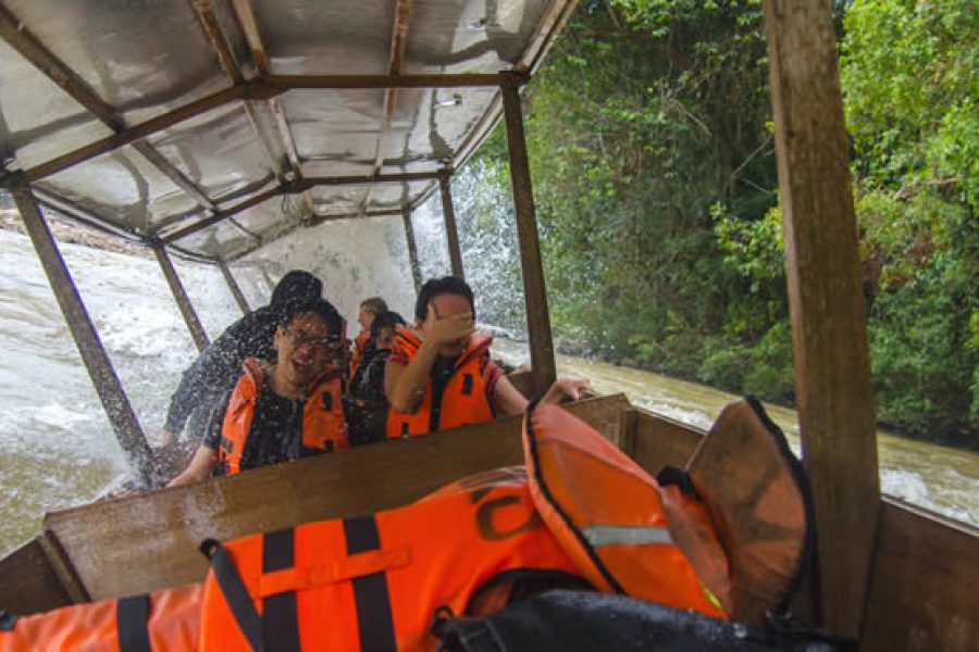 Taman Negara Day Tour