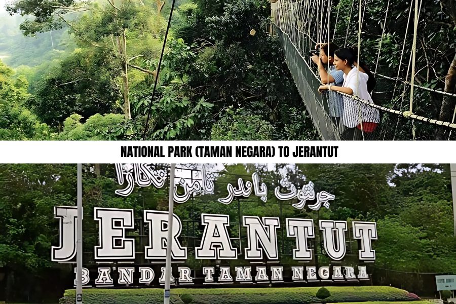 National Park (Taman Negara) to Jerantut