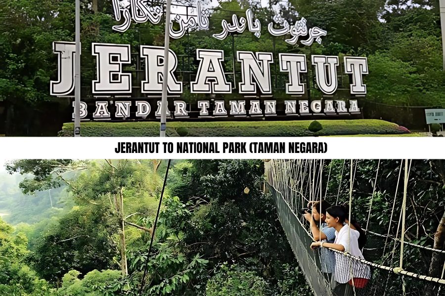 Jerantut to National Park (Taman Negara)