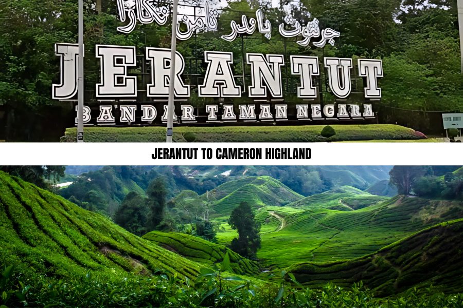 Jerantut to Cameron Highland
