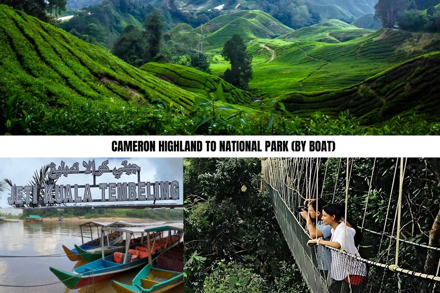 Cameron Highlands to National Park (By Boat)