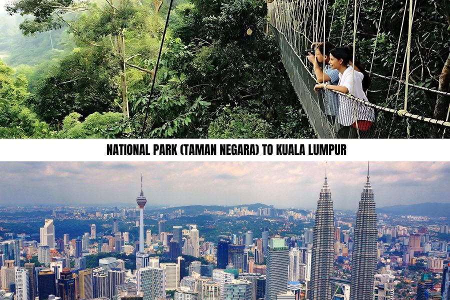 National Park (Taman Negara) to Kuala Lumpur
